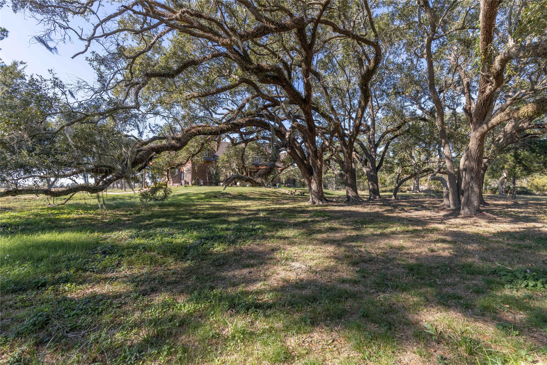 6641 Eagle Road Anahuac, TX 77514 - Photo 11 of 50 a view of outdoor space with yard