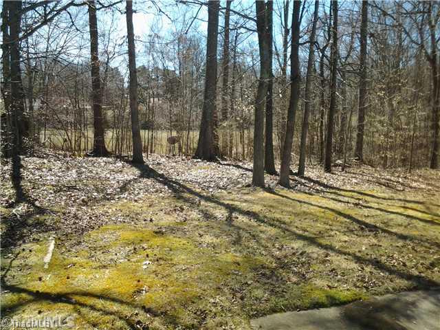 533 Apple Ridge Road Greensboro, NC 27406 - Photo 10 of 10 Land/Lot.