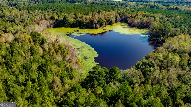 $650,000 | 2947 Ivey Avenue, Claxton, GA 30417