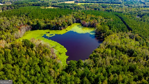 a view of outdoor space and trees