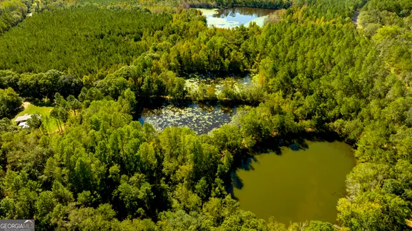 a view of a garden with plants