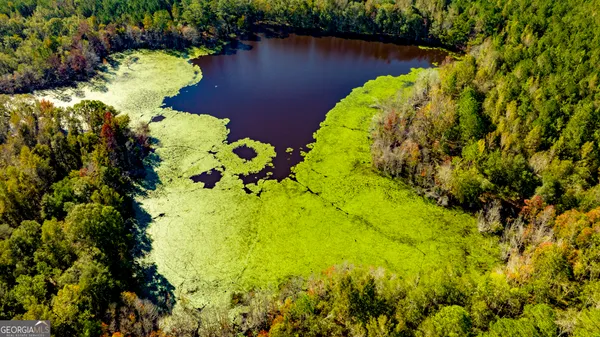 a view of a lake with a park
