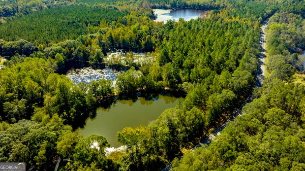 a view of a garden with a lake