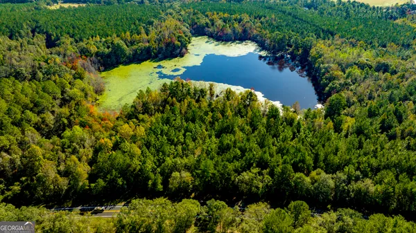 a view of a garden with a lake