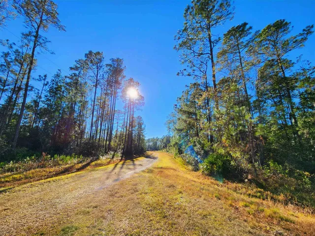 $179,500 | Lot 116 Southwest Lot Road, Greenville, FL 32331