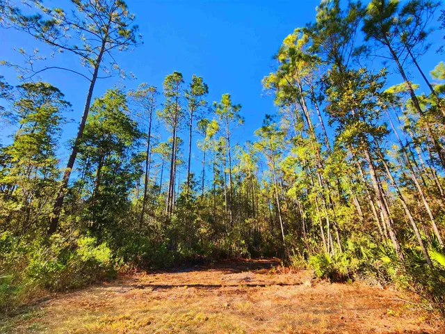 $179,500 | Lot 116 Southwest Lot Road, Greenville, FL 32331