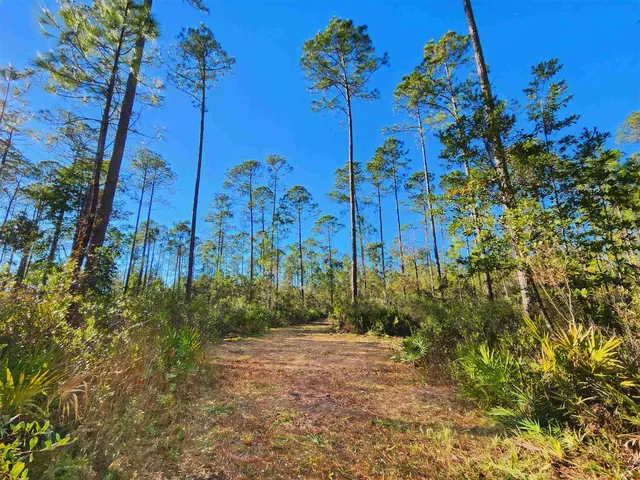 $179,500 | Lot 116 Southwest Lot Road, Greenville, FL 32331