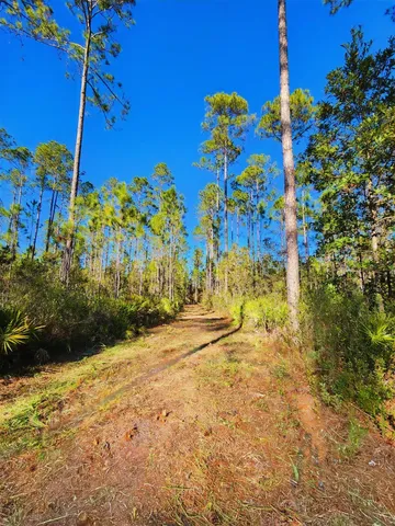 $179,500 | Lot 116 Southwest Lot Road, Greenville, FL 32331