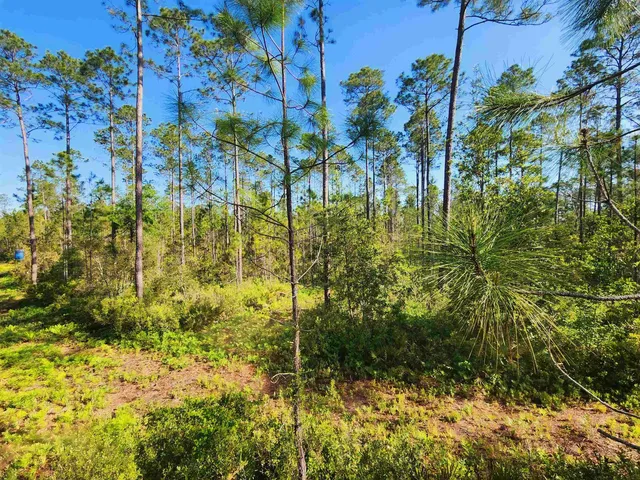 $179,500 | Lot 116 Southwest Lot Road, Greenville, FL 32331