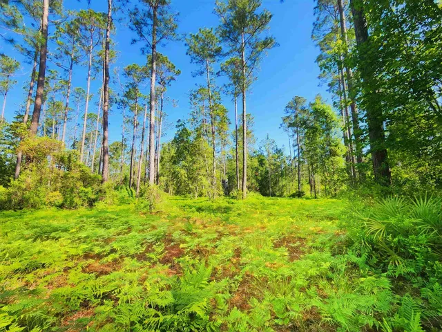 $179,500 | Lot 116 Southwest Lot Road, Greenville, FL 32331