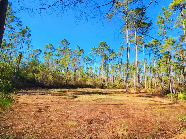 $179,500 | Lot 116 Southwest Lot Road, Greenville, FL 32331