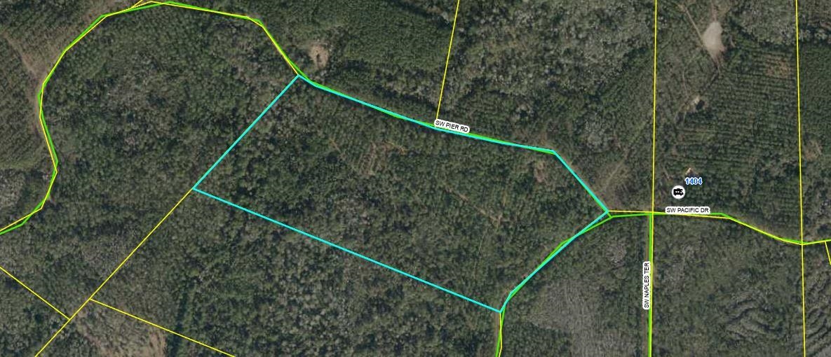 Lot 116 Southwest Lot Road Greenville, FL 32331 - Photo 22 of 28