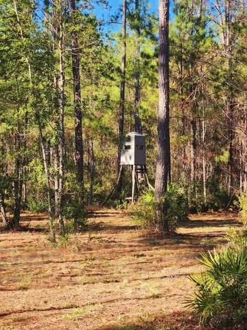 $179,500 | Lot 116 Southwest Lot Road, Greenville, FL 32331