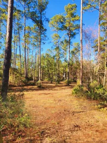 $179,500 | Lot 116 Southwest Lot Road, Greenville, FL 32331