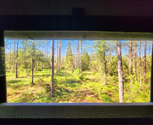 $179,500 | Lot 116 Southwest Lot Road, Greenville, FL 32331