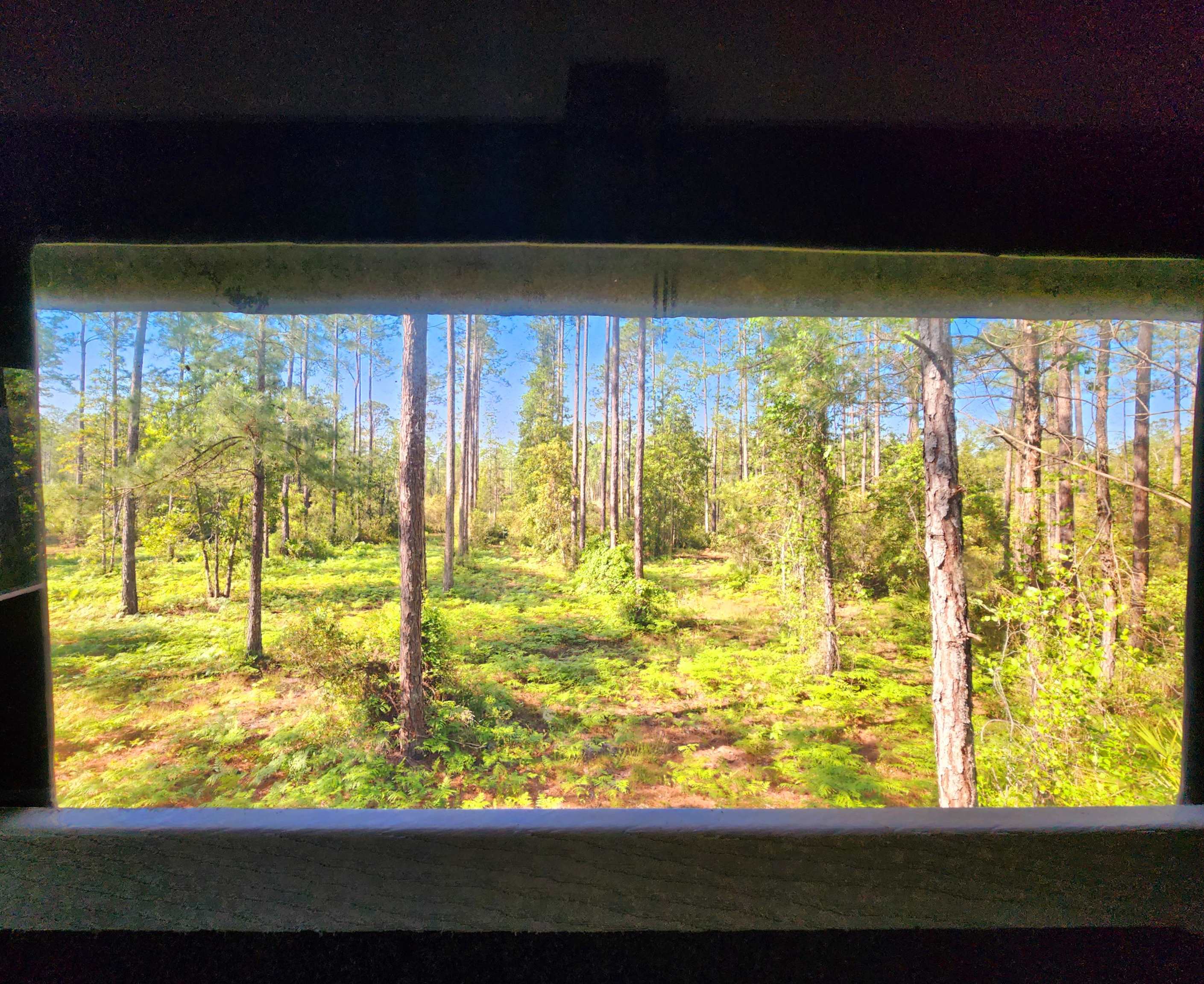 Lot 116 Southwest Lot Road Greenville, FL 32331 - Photo 3 of 28