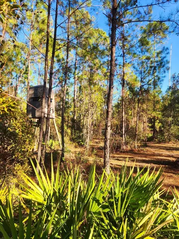 $179,500 | Lot 116 Southwest Lot Road, Greenville, FL 32331