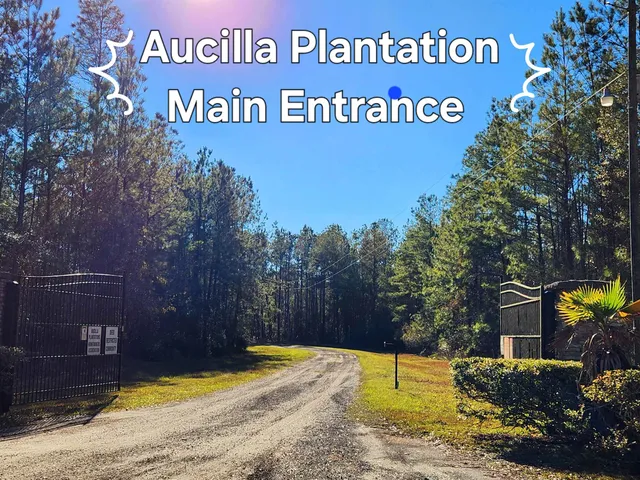 $179,500 | Lot 116 Southwest Lot Road, Greenville, FL 32331