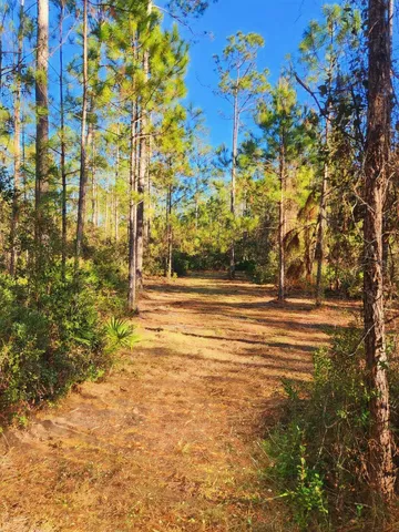 $179,500 | Lot 116 Southwest Lot Road, Greenville, FL 32331