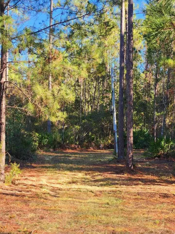 $179,500 | Lot 116 Southwest Lot Road, Greenville, FL 32331