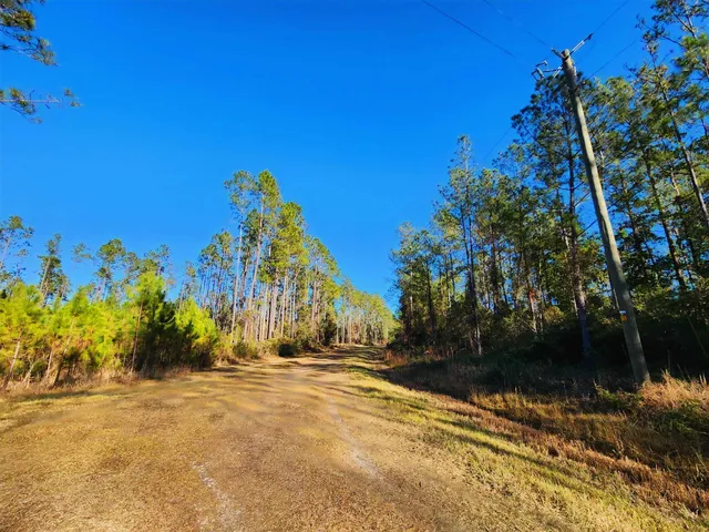 $179,500 | Lot 116 Southwest Lot Road, Greenville, FL 32331