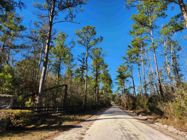 $179,500 | Lot 116 Southwest Lot Road, Greenville, FL 32331