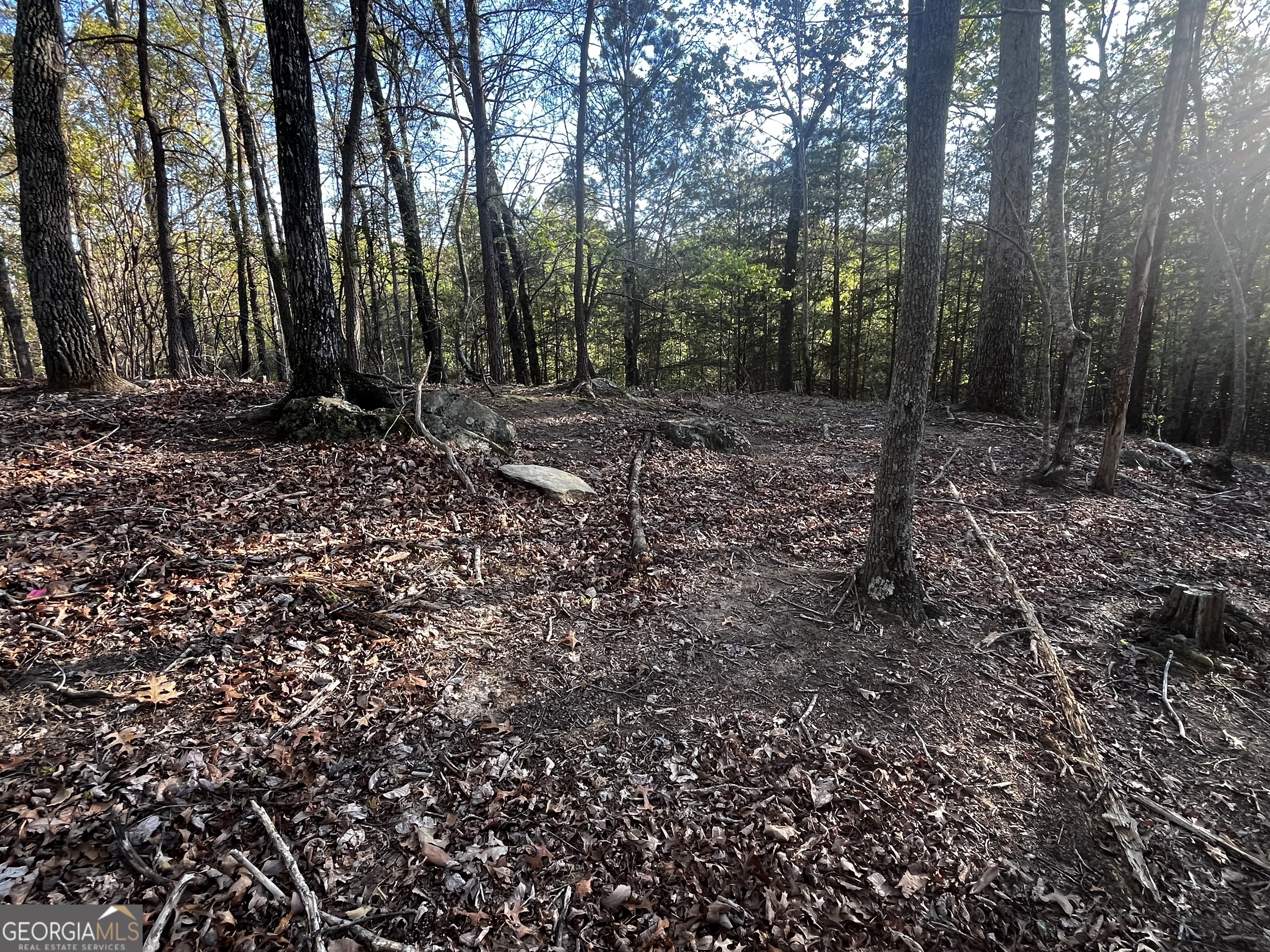 130 Lakeview Walk Baldwin, GA 30511 - Photo 6 of 8 a view of outdoor space with lots of trees