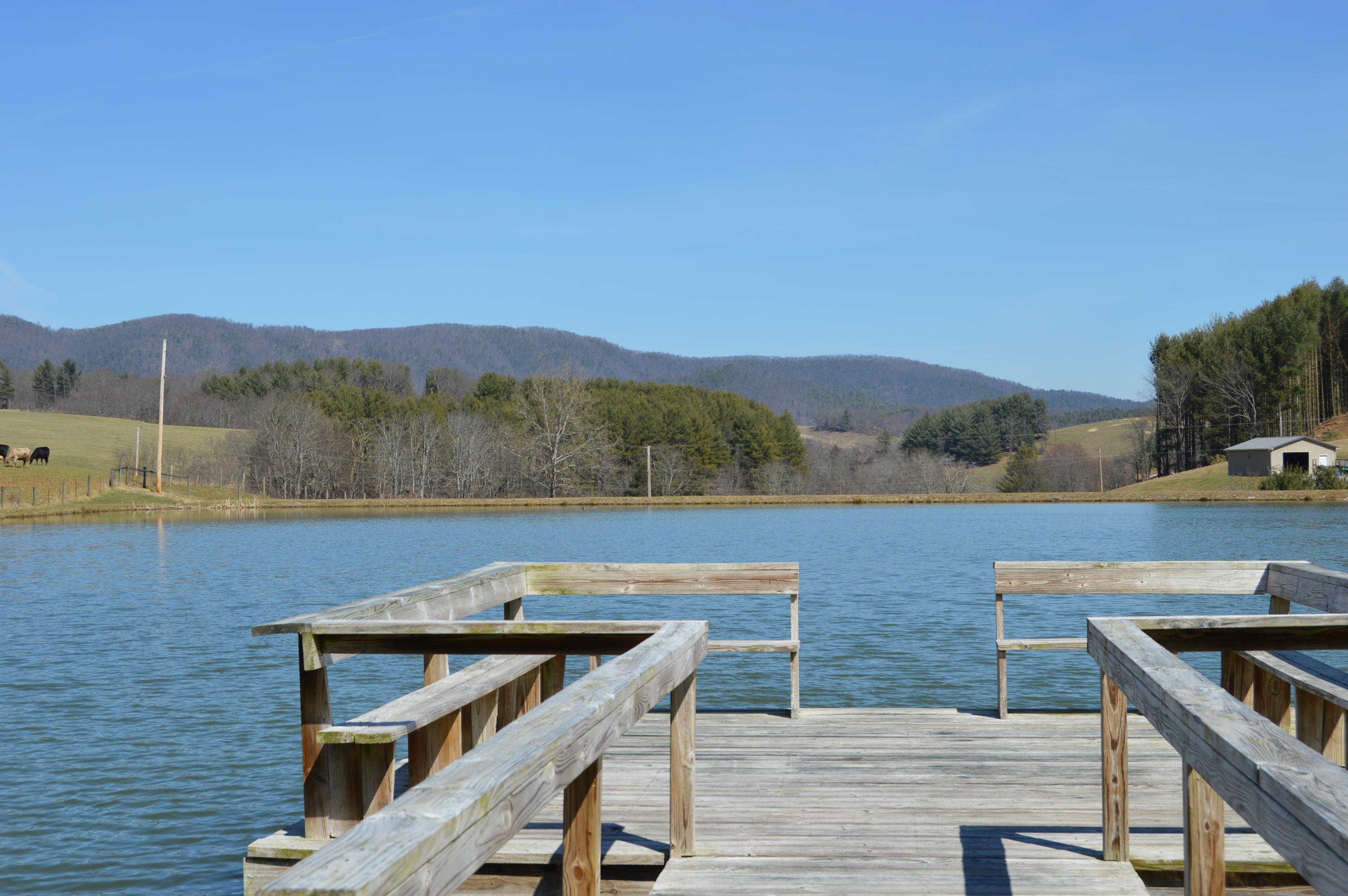 Pond