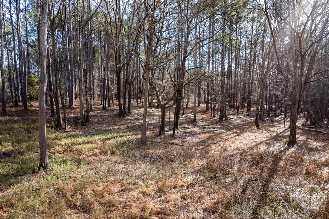 2214 South Barnett Shoals Road Watkinsville, GA 30677 - Photo 7 of 20