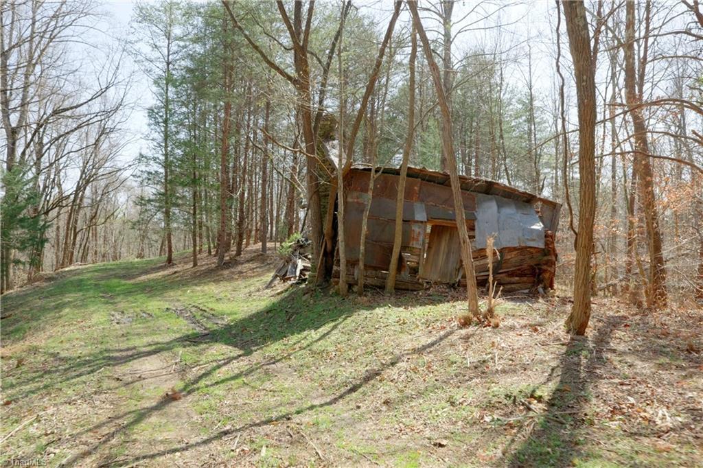 1583 Seven Island Road Danbury, NC 27016 - Photo 12 of 45