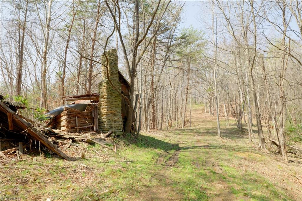 1583 Seven Island Road Danbury, NC 27016 - Photo 13 of 45