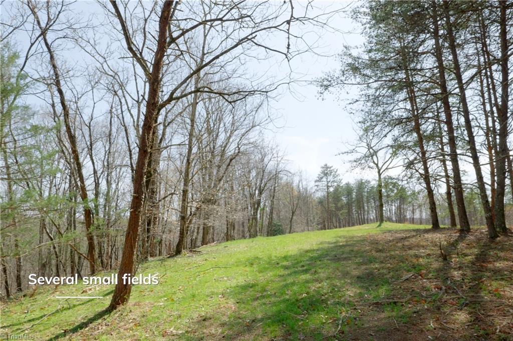 1583 Seven Island Road Danbury, NC 27016 - Photo 14 of 45
