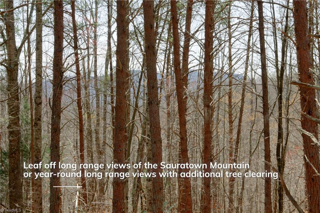 1583 Seven Island Road Danbury, NC 27016 - Photo 15 of 45