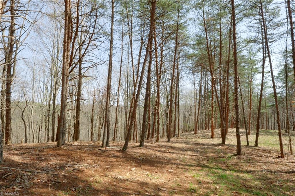 1583 Seven Island Road Danbury, NC 27016 - Photo 16 of 45