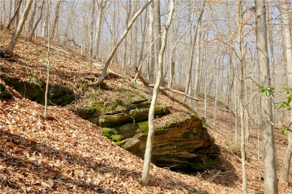 1583 Seven Island Road Danbury, NC 27016 - Photo 17 of 45