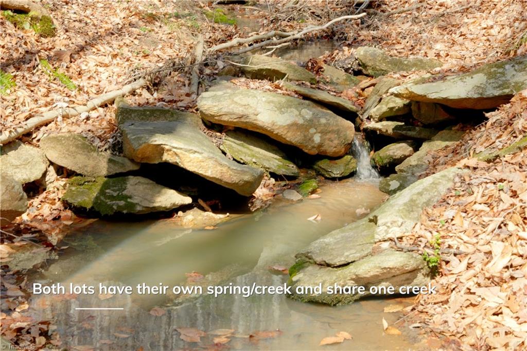 1583 Seven Island Road Danbury, NC 27016 - Photo 18 of 45