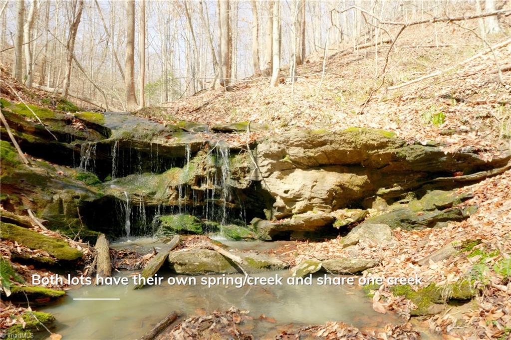 1583 Seven Island Road Danbury, NC 27016 - Photo 19 of 45