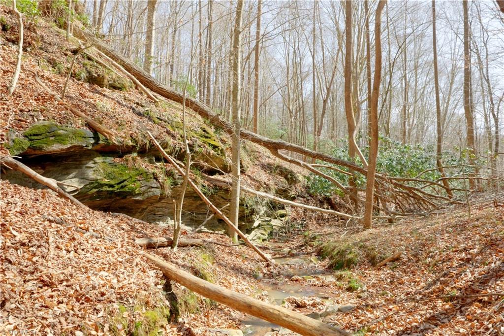 1583 Seven Island Road Danbury, NC 27016 - Photo 20 of 45