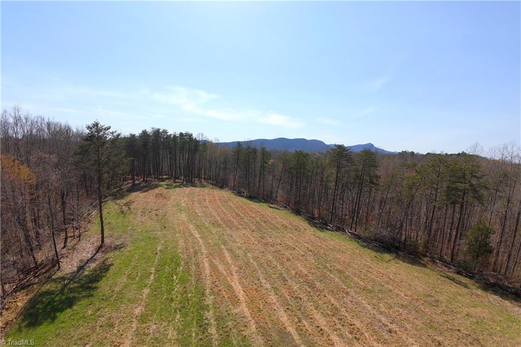 1583 Seven Island Road Danbury, NC 27016 - Photo 2 of 45