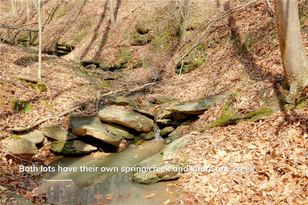 1583 Seven Island Road Danbury, NC 27016 - Photo 21 of 45