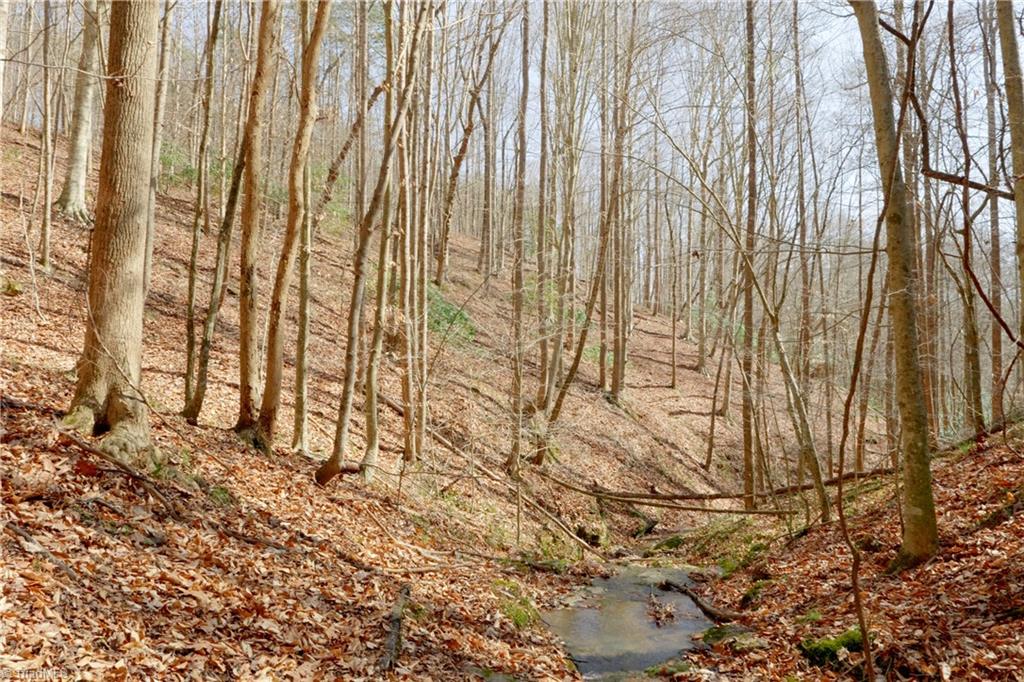 1583 Seven Island Road Danbury, NC 27016 - Photo 22 of 45