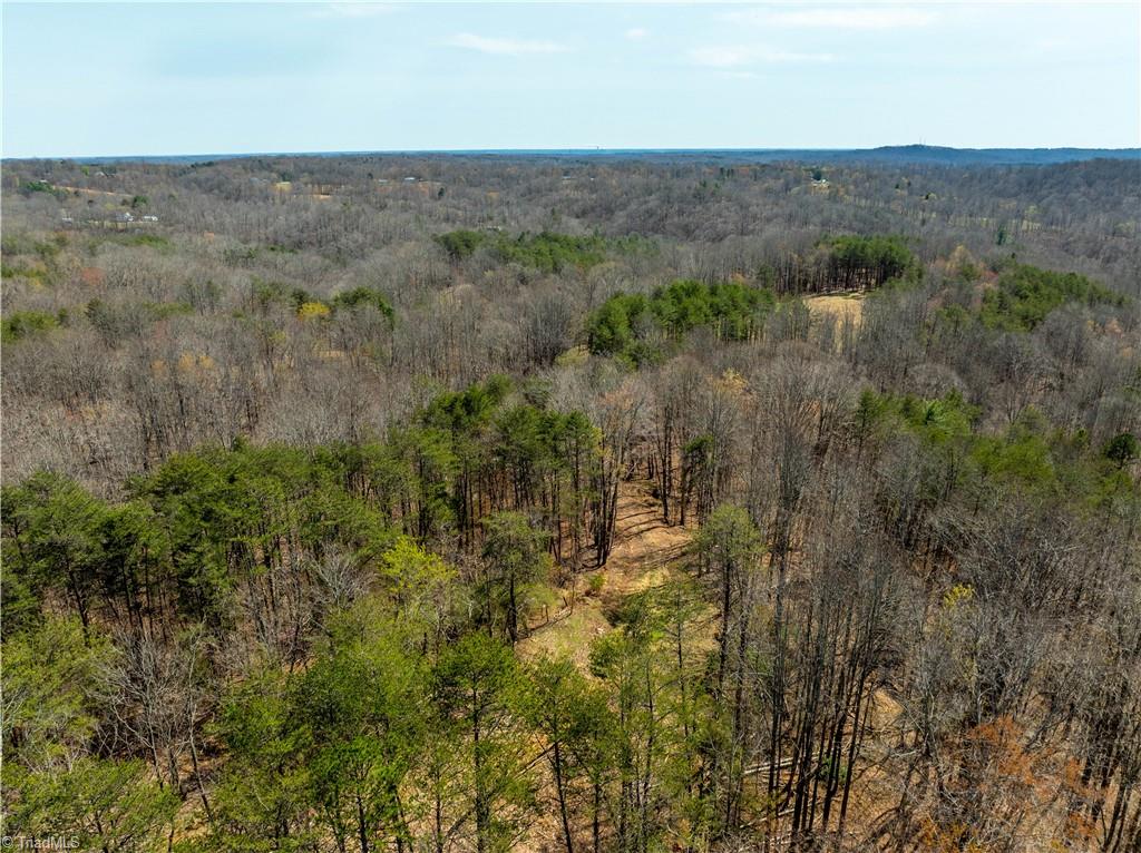 1583 Seven Island Road Danbury, NC 27016 - Photo 34 of 45