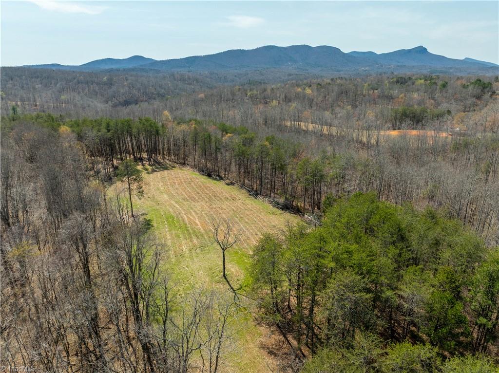 1583 Seven Island Road Danbury, NC 27016 - Photo 35 of 45