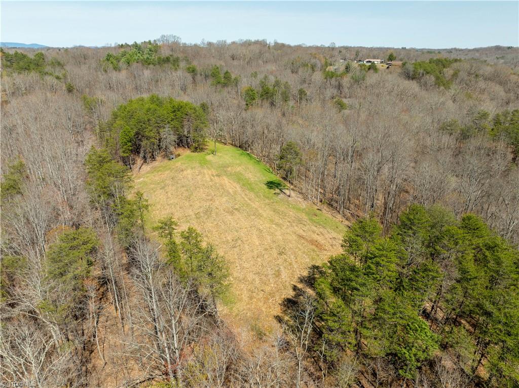 1583 Seven Island Road Danbury, NC 27016 - Photo 36 of 45