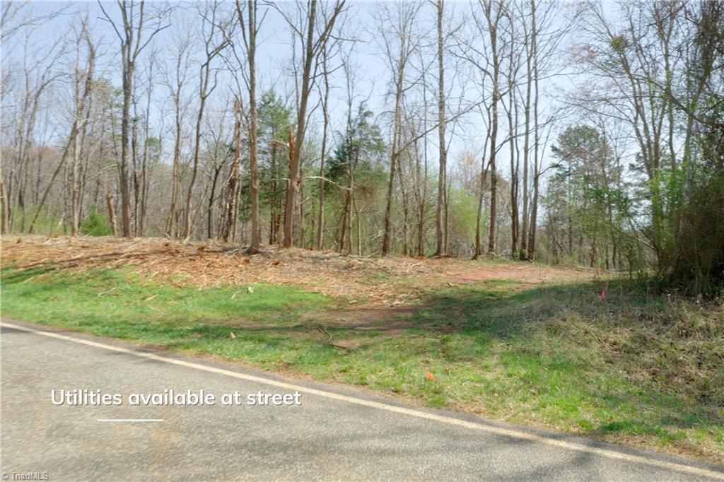 1583 Seven Island Road Danbury, NC 27016 - Photo 4 of 45