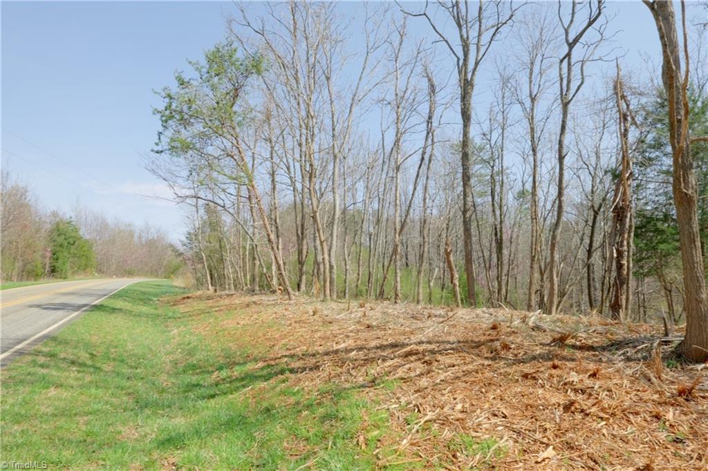 1583 Seven Island Road Danbury, NC 27016 - Photo 6 of 45