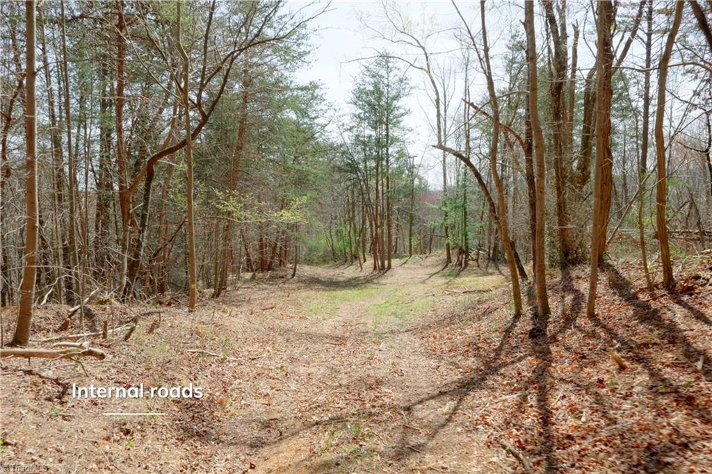 1583 Seven Island Road Danbury, NC 27016 - Photo 7 of 45