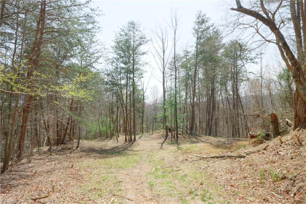 1583 Seven Island Road Danbury, NC 27016 - Photo 8 of 45