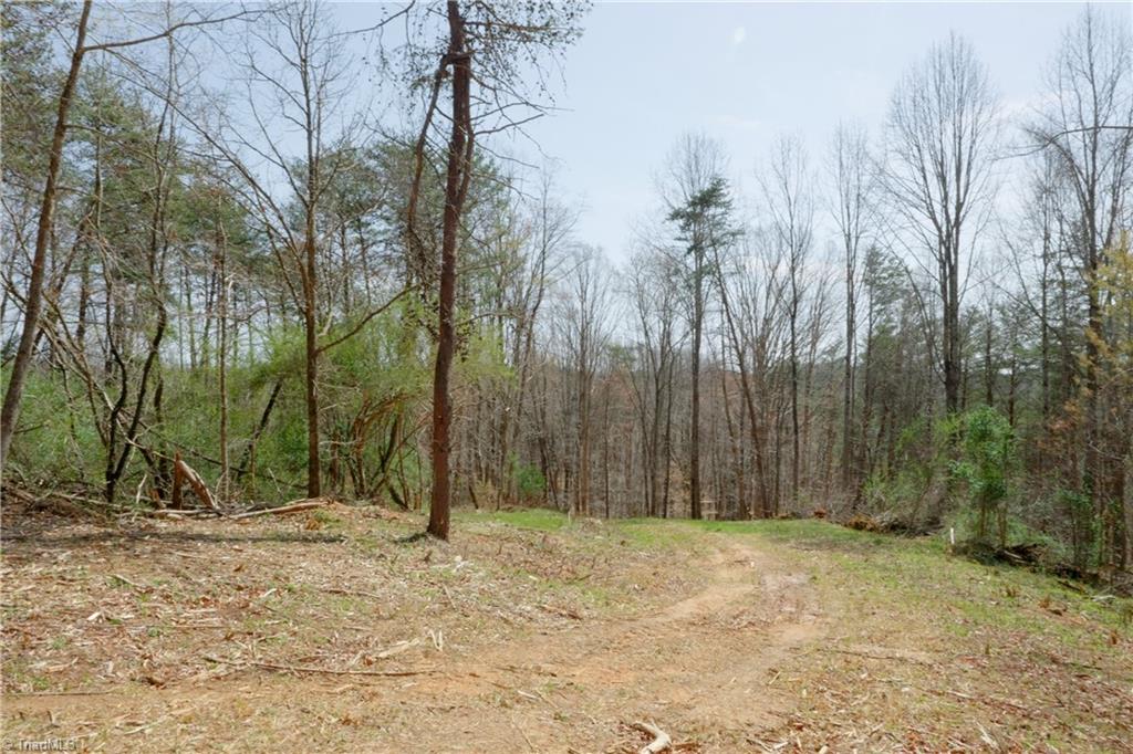 1583 Seven Island Road Danbury, NC 27016 - Photo 9 of 45