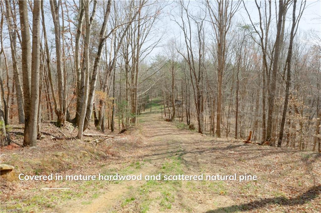 1583 Seven Island Road Danbury, NC 27016 - Photo 10 of 45